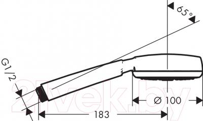 Лейка ручного душа Hansgrohe Crometta 100 26825400