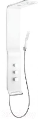 Душевая панель Hansgrohe Raindance Lift 27008400 - фото