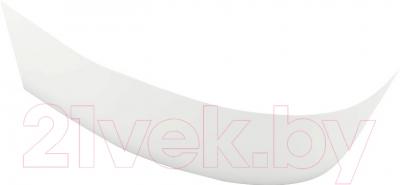 Экран для ванны Aquatek Дива 170 L - фото