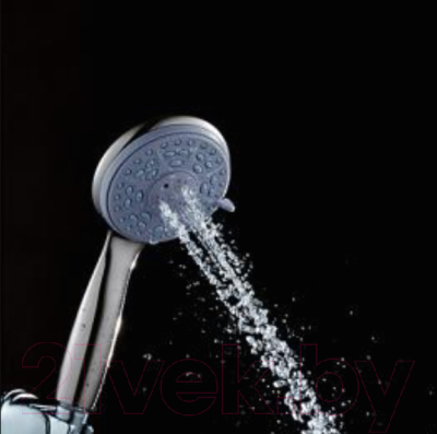 Лейка ручного душа Frap F16-1