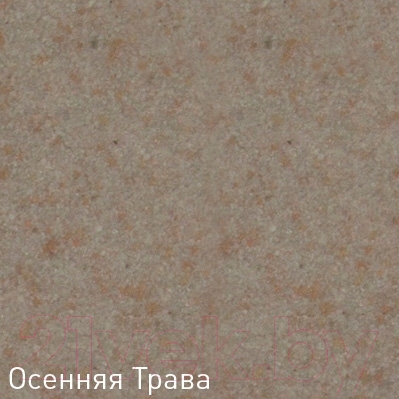 Мойка кухонная Zigmund & Shtain Platz 425