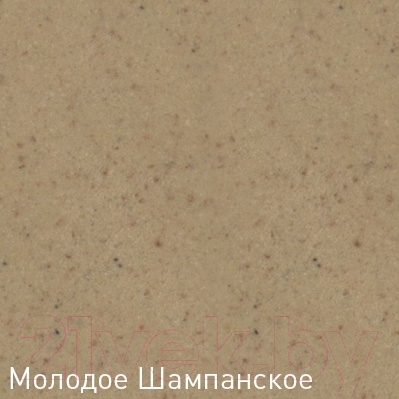 Мойка кухонная Zigmund & Shtain Rechteck 780.2