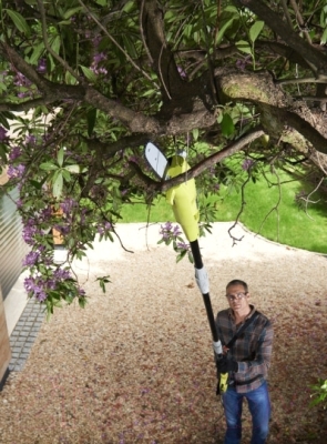 Высоторез электрический Ryobi RP750450