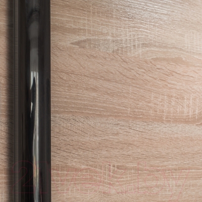 Шкаф Евва 24 SSG.01 / АЭП ШК.3 01