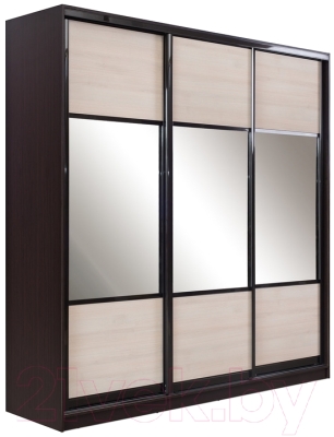 Шкаф-купе Евва 24 VHG.01 / АЭП ШК.3 01 (шамони/венге глянец) - фото