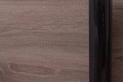 Шкаф Евва 21 TTG.01 / АЭП ШК.3 02