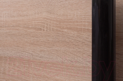 Шкаф Евва 21 SSG.02 / АЭП ШК.3 02