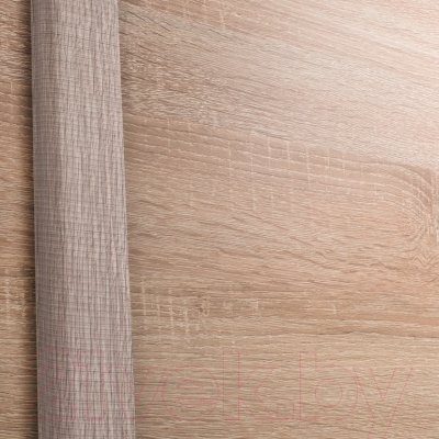 Шкаф-купе Евва 21 SSH.01 / АЭП ШК.3 02