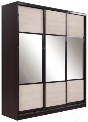 Шкаф Евва 21 VHG.01 / АЭП ШК.3 02 - фото