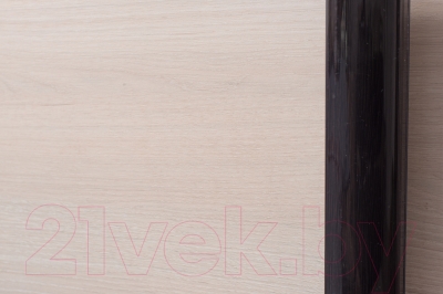 Шкаф Евва 18 VHG.02 / АЭП ШК.3 03