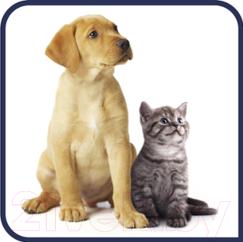 Пылесос Tefal TW3786RA