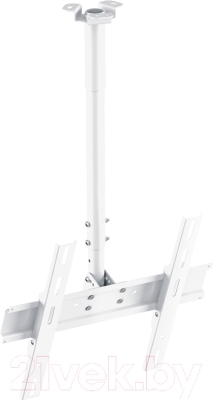 Кронштейн для телевизора Holder PR-101-W - фото