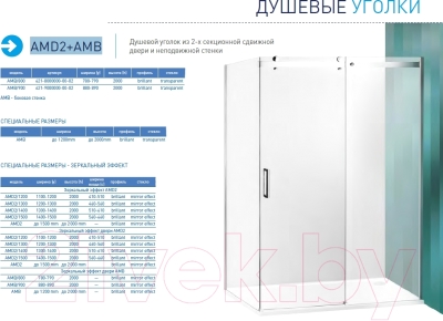 Душевая стенка Roltechnik Ambient Line AMB/90 (хром/прозрачное стекло)