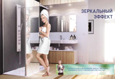 Душевая стенка Roltechnik Ambient Line AMB/90 (хром/прозрачное стекло)