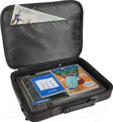 Сумка для ноутбука Defender Ascetic 00008698 / 26019 (черный)