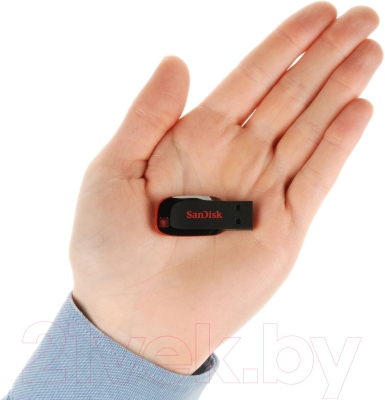 USB flash накопитель SanDisk Cruzer Blade Black 32GB (SDCZ50-032G-B35)
