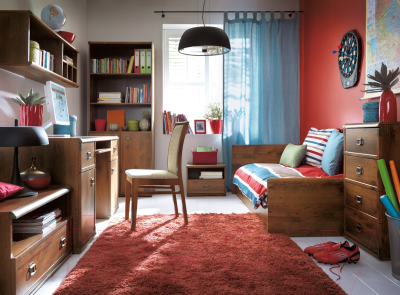 Шкаф Black Red White Индиана JSZF 2d2s