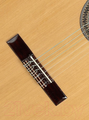 Акустическая гитара Alhambra 2 C