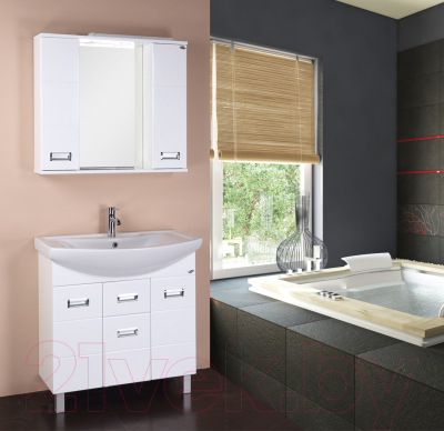 Шкаф с зеркалом для ванной Onika Балтика 80.01 (208024)