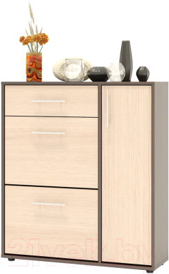 Тумба в прихожую Сокол-Мебель ТП-4 (венге/беленый дуб) - фото