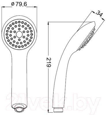 Лейка ручного душа Iddis A11011