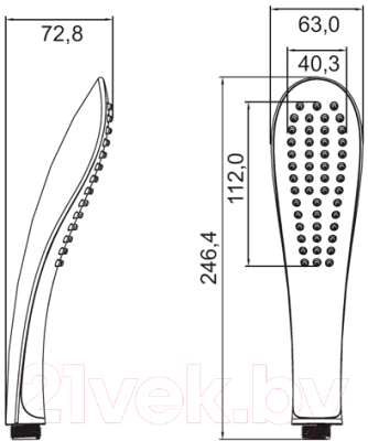 Лейка ручного душа Iddis 0201F00I18