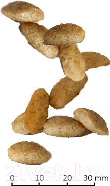 Сухой корм для собак Farmina Vet Life Oxalate