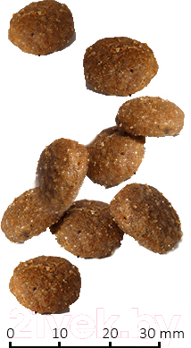 Сухой корм для собак Farmina Vet Life Struvite Management