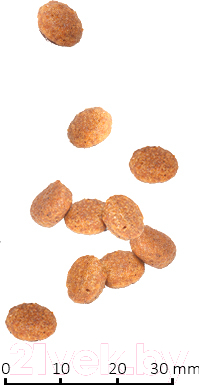 Сухой корм для кошек Farmina Vet Life Struvite Management