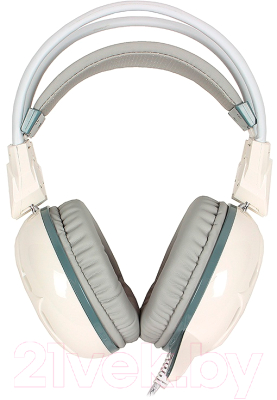 Наушники-гарнитура Bloody Bloody G300