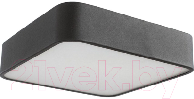 Потолочный светильник Arte Lamp Cosmopolitan A7210PL-2BK - фото