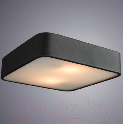 Потолочный светильник Arte Lamp Cosmopolitan A7210PL-2BK