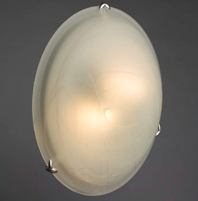 Потолочный светильник Arte Lamp Symphony A3440PL-2CC