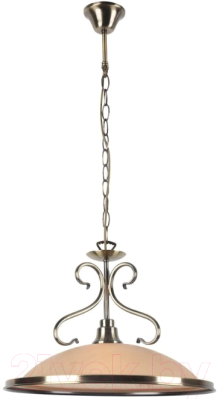 Потолочный светильник Arte Lamp Safari A6905SP-1AB - фото