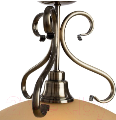 Потолочный светильник Arte Lamp Safari A6905SP-1AB