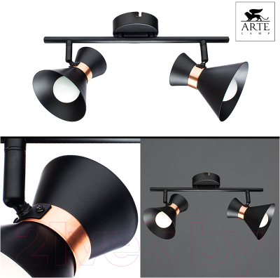 Спот Arte Lamp Baltimore A1406AP-2BK