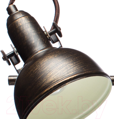 Спот Arte Lamp Martin A5215PL-4BR