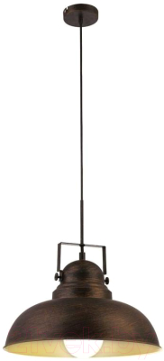 Потолочный светильник Arte Lamp Martin A5213SP-1BR - фото