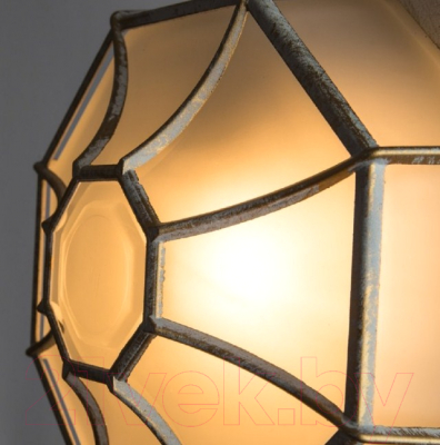 Светильник уличный Arte Lamp Pegasus A3121PF-1WG