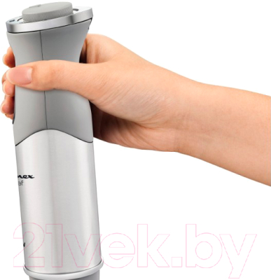 Блендер погружной Moulinex DD65CD32