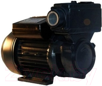 Поверхностный насос IBO WZI 250 - фото