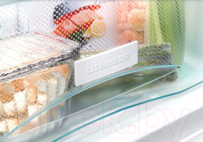 Морозильник Liebherr Gbe 1213