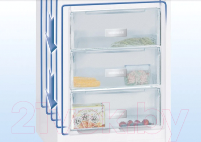 Морозильник Liebherr Gbe 1213