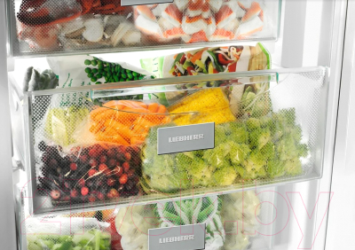 Морозильник Liebherr Gbe 1213