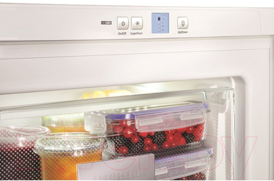 Морозильник Liebherr Gbe 1213