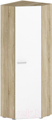 Шкаф Славянская столица Д-ШУ600 - фото