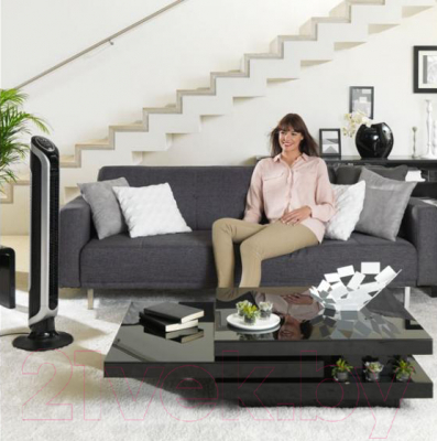 Вентилятор Tefal VF6670F0