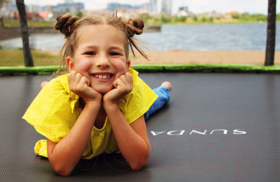 Батут Sundays Champion Premium-D374