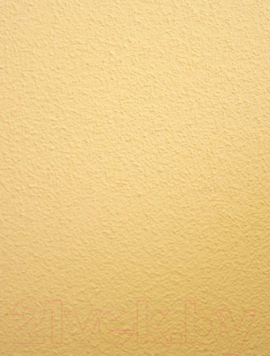 Краска декоративная Alpina Expert Fakturfarbe 100. База 1