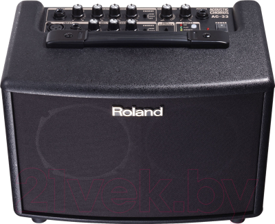 Комбоусилитель Roland AC-33